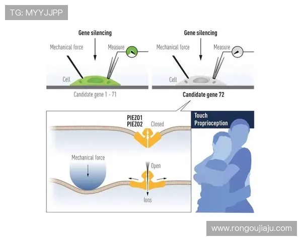 解析PA集团官网在行业中的定位与发展趋势